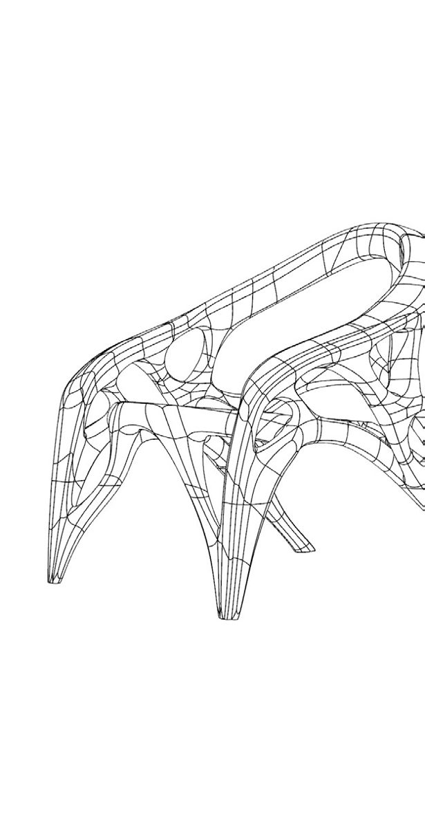 struttura generata